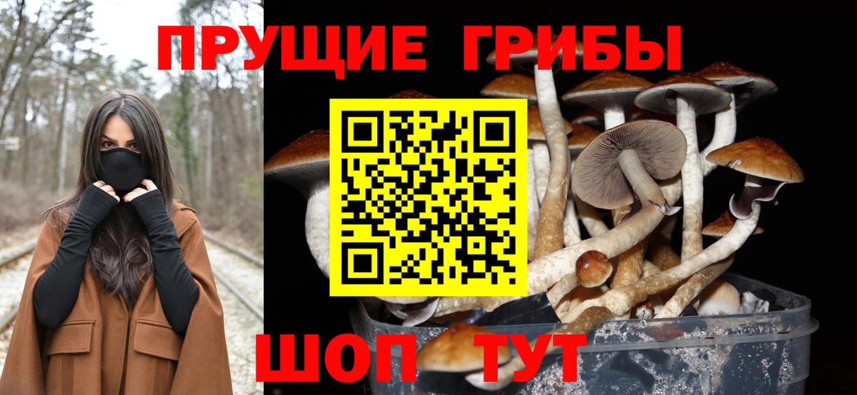 продажа наркотиков  Вход с VPN  Галлюциногенные грибы Magic Shrooms  Павловский Посад  Псилоцибиновые грибы ЛСД 